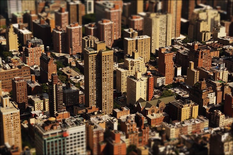 Phoenix Rises